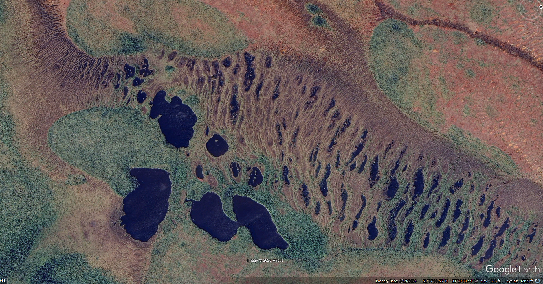 Mushkegowuk peatlands from above — dendritic pools and esker ridges