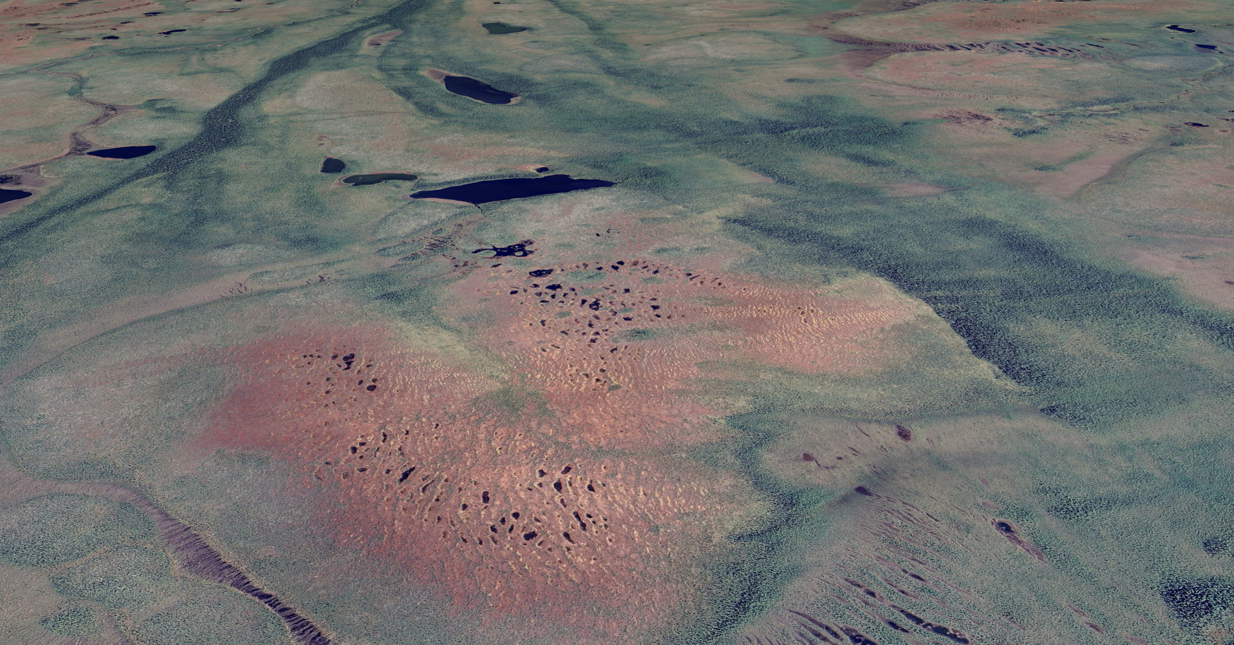 Peatland bog close-up showing ancient carbon deposits