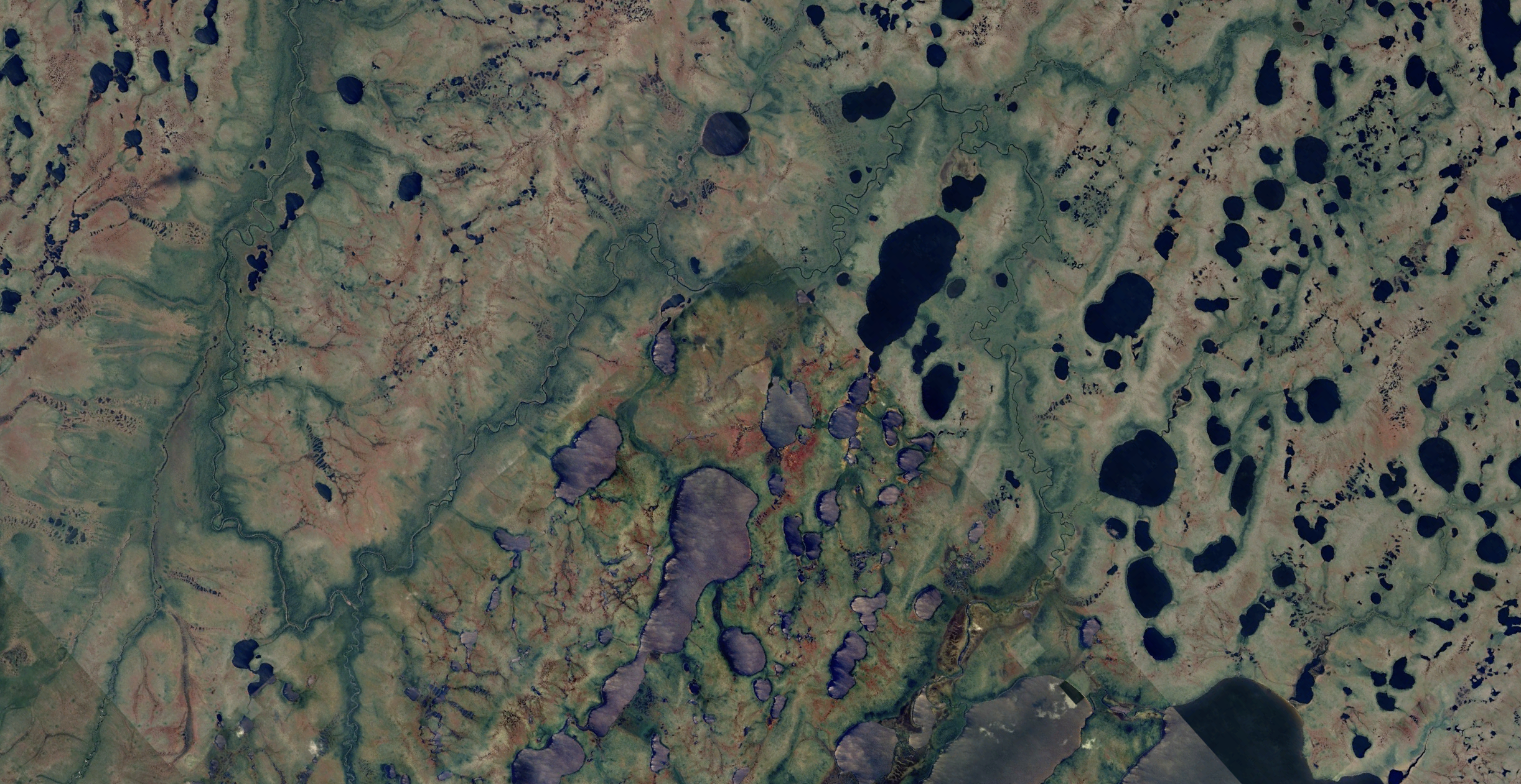 Satellite view of peatland lakes and dark water bodies
